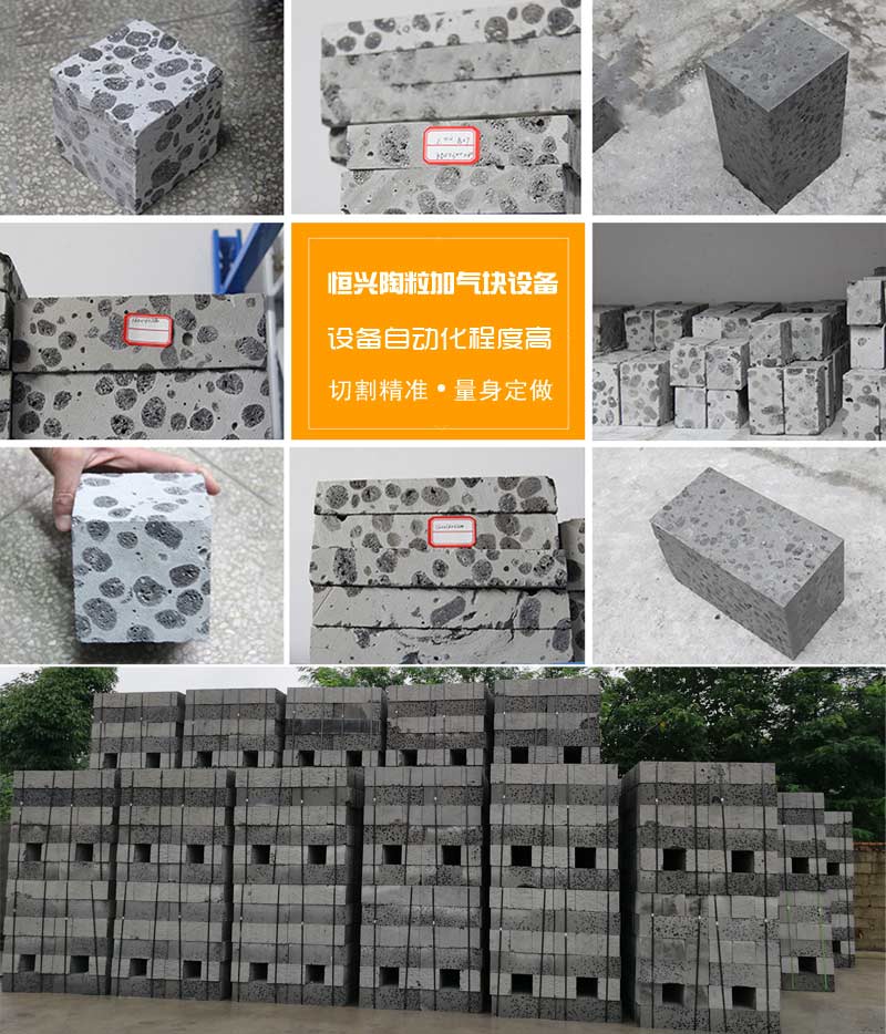 陶(táo)粒加氣混凝土(tu)砌塊 陶粒加氣(qì)混凝土砌塊